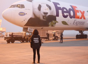 FedEx Panda Express Boeing 777F ready for take off