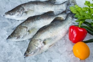 ID-100116042