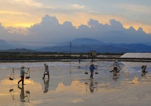Ninh_Hòa_salt_production_-_alt