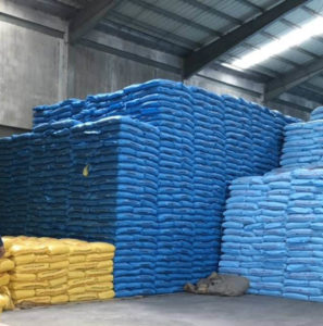 Philippine rice imports