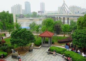 XinYu-m
