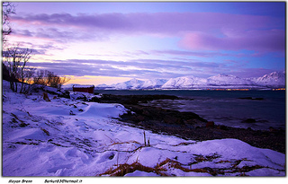 winter